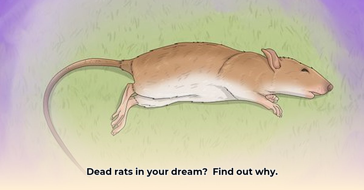 biblical-meaning-of-dead-rats-in-a-dream